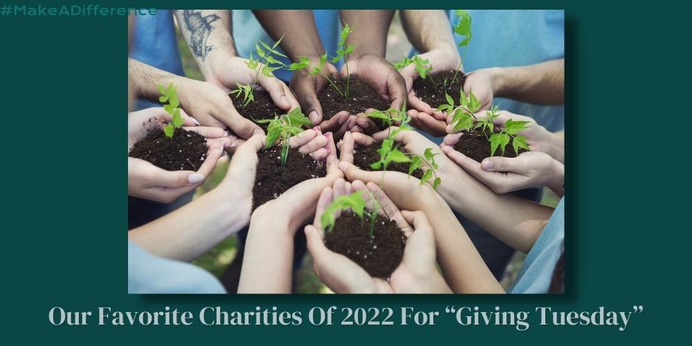 The words, "Our Favorite Charities Of 2022 For Giving Tuesday" and a photo of 8 pairs of hands in a circle, each one cradling a handful of soil with a small plant growing out of it.