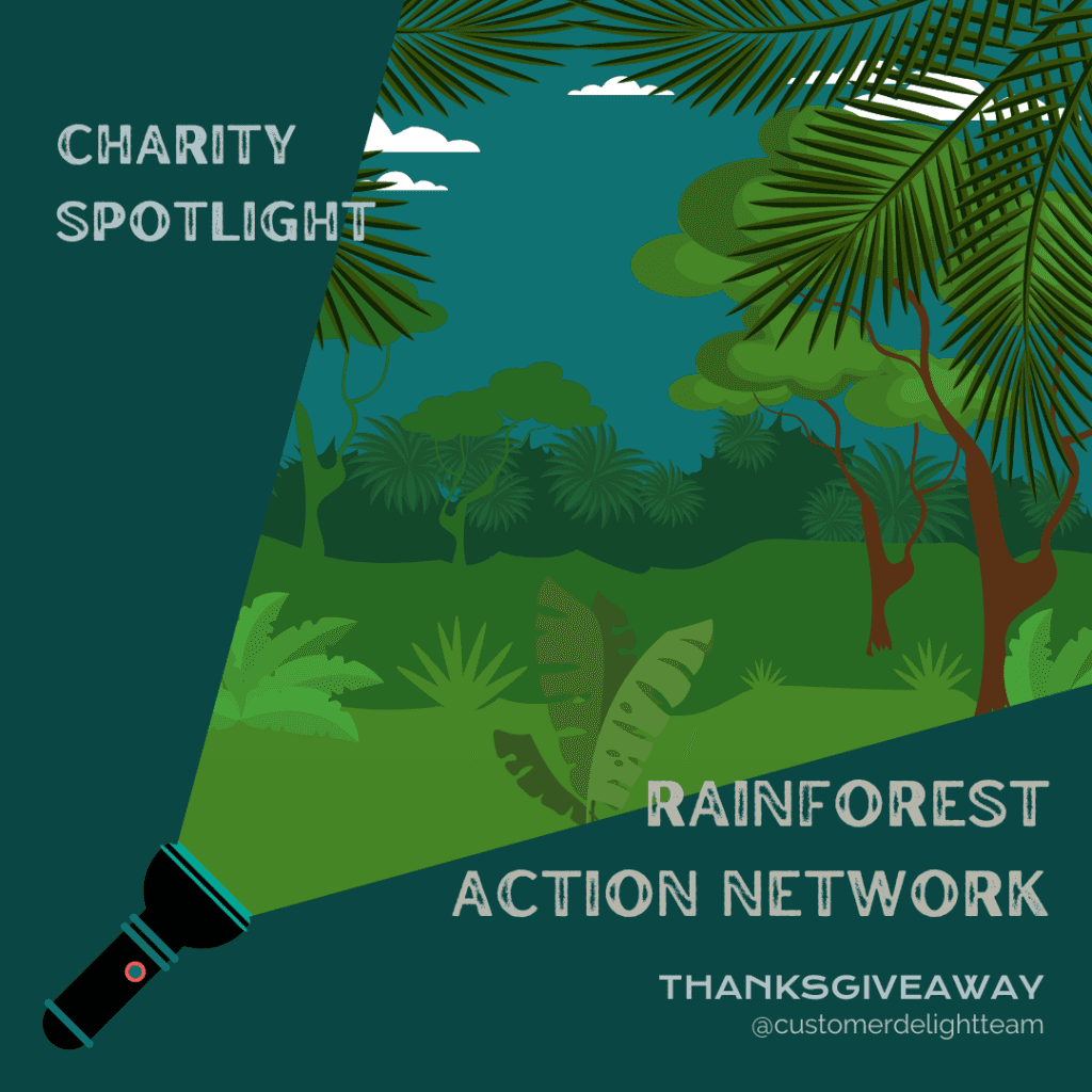 Illustration of a rainforest is visible in the beam of light coming from a flashlight and the words "Charity Spotlight: Rainforest Action Network" on a dark green background.