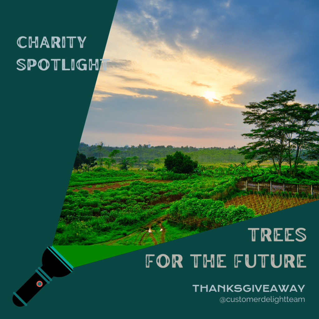 Photo of a thriving farm with trees scattered throughout is visible in the beam of light coming from a flashlight and the words "Charity Spotlight: Trees For The Future" on a dark green background.