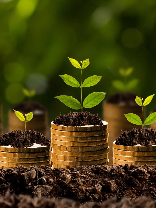 a photo of coins stacked to different heights, each with a small pile of soil and a sprout growing out of the top, representing ethical businesses boosting their impact and income at the same time.